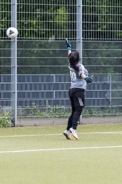 Bild 274 - F SV Eidelstedt - SC Alstertal-Langenhorn : Ergebnis: 2:7